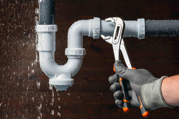 Professional Leak Detection technician working in Weirsdale, FL